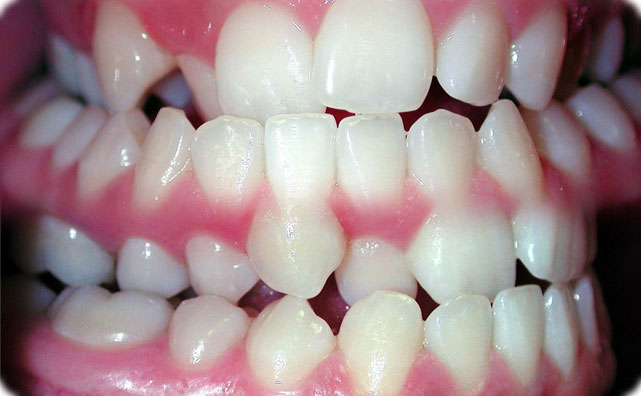 ortodont